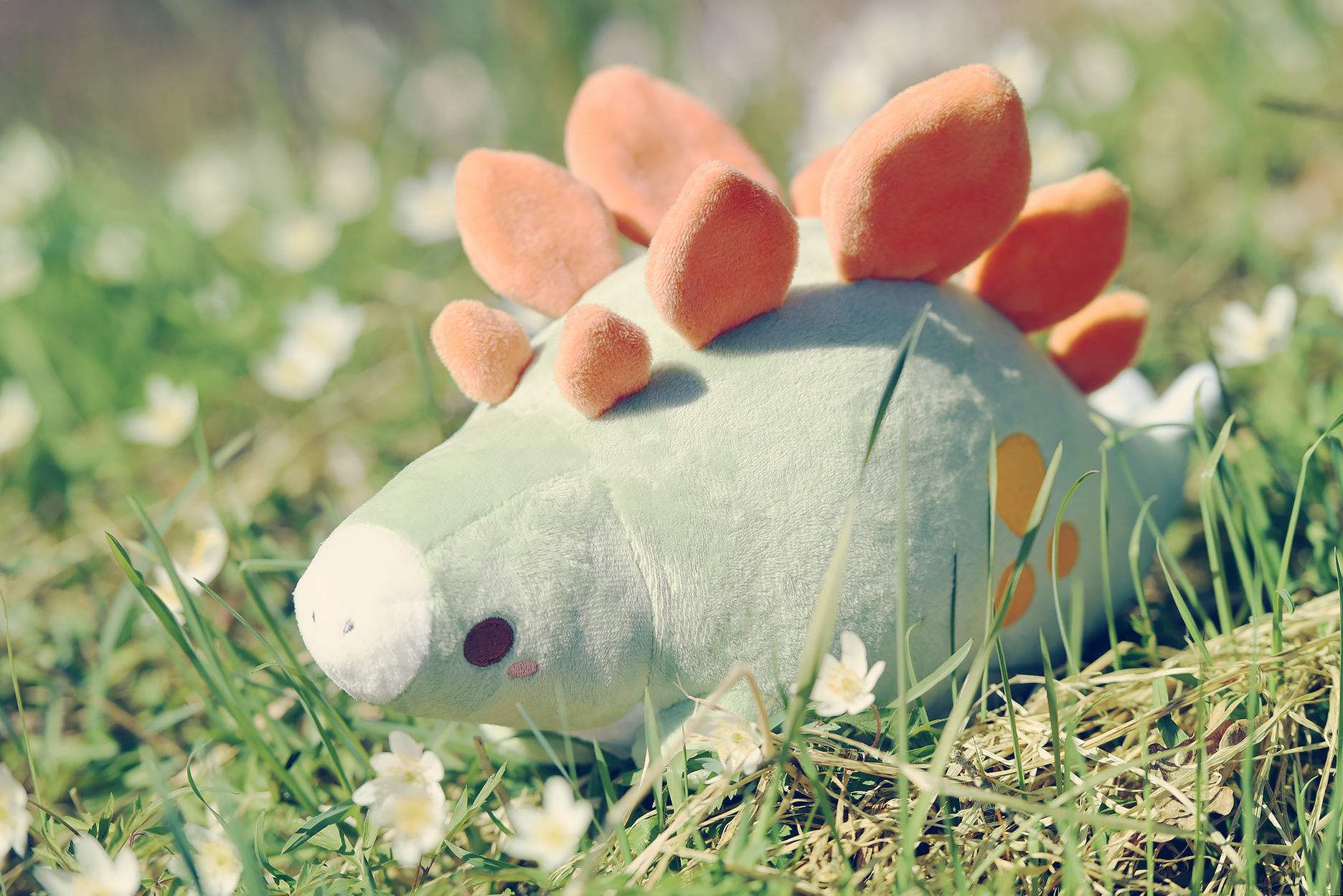 Stegosaurus plush toy shop