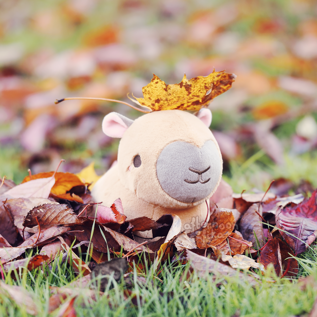[PRE-ORDER, ETA Spring 2024] Carlos The Capybara Plush