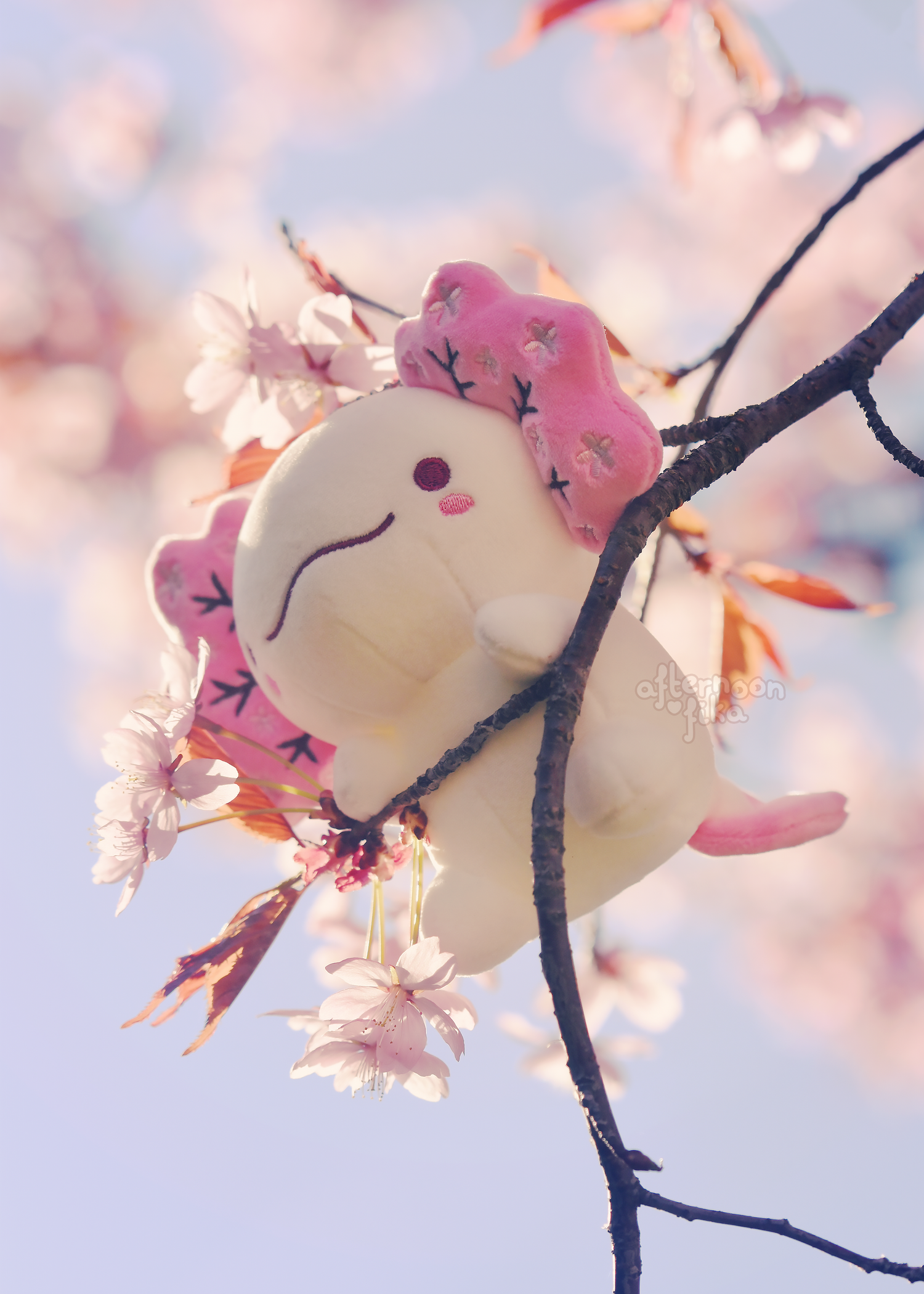 PRE-ORDER, Ships Fall 2026] Charlotte The Cherry Blossom Axolotl