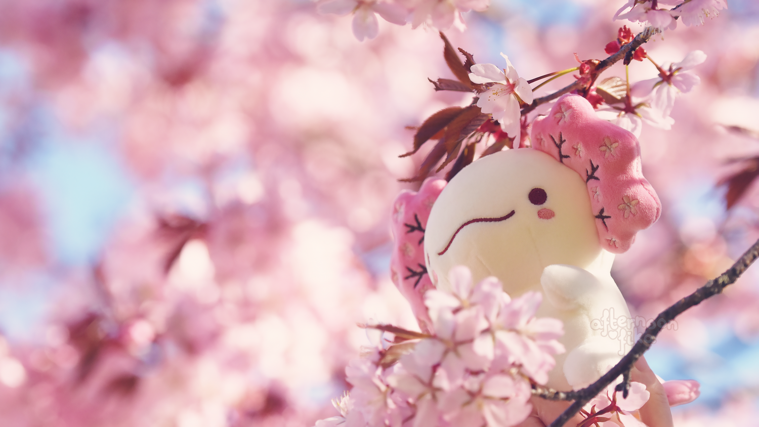 PRE-ORDER, Ships Fall 2026] Charlotte The Cherry Blossom Axolotl