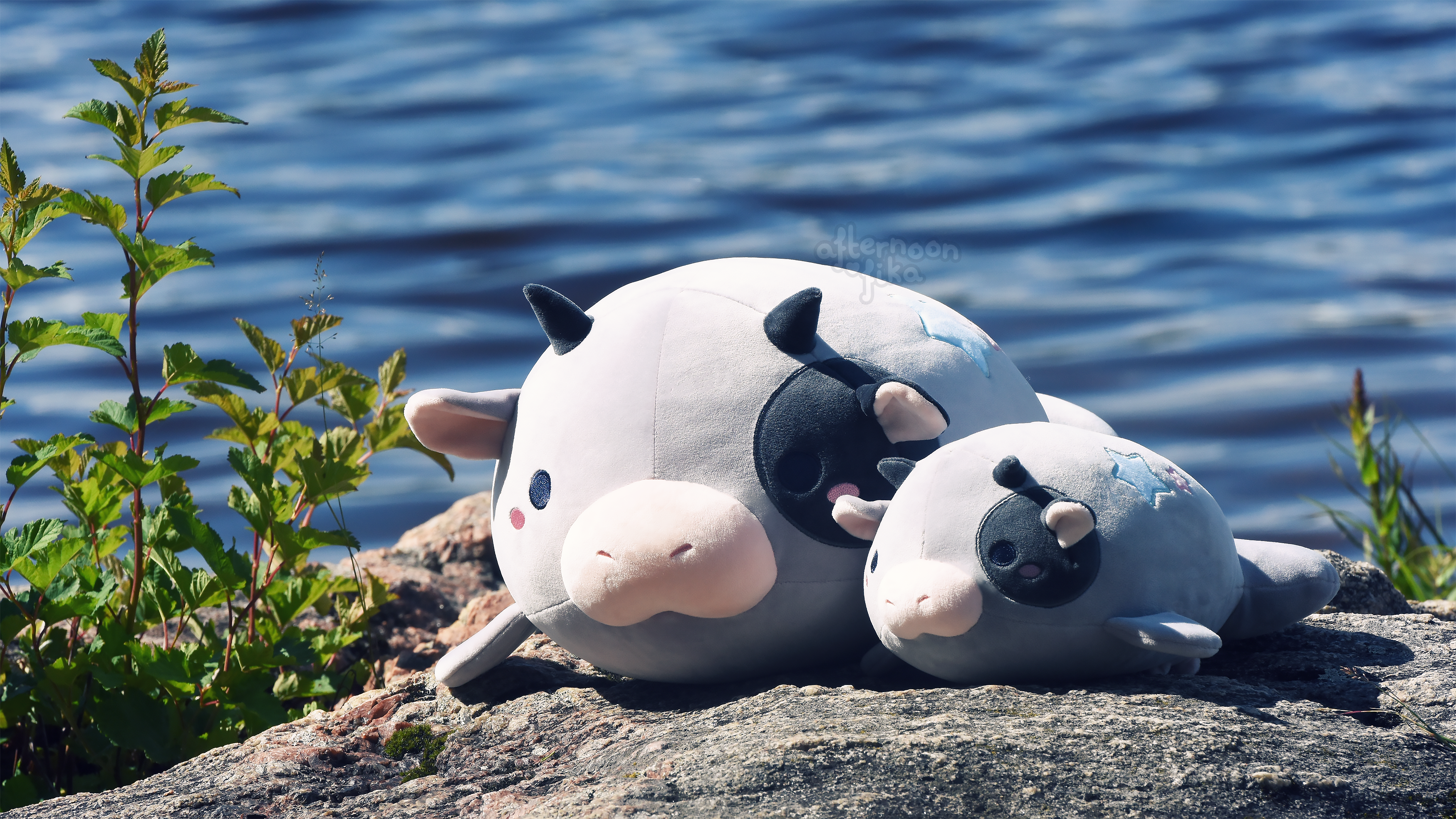 [PRE-ORDER, Ships Early 2026] Umiko The Sea Cow Plush