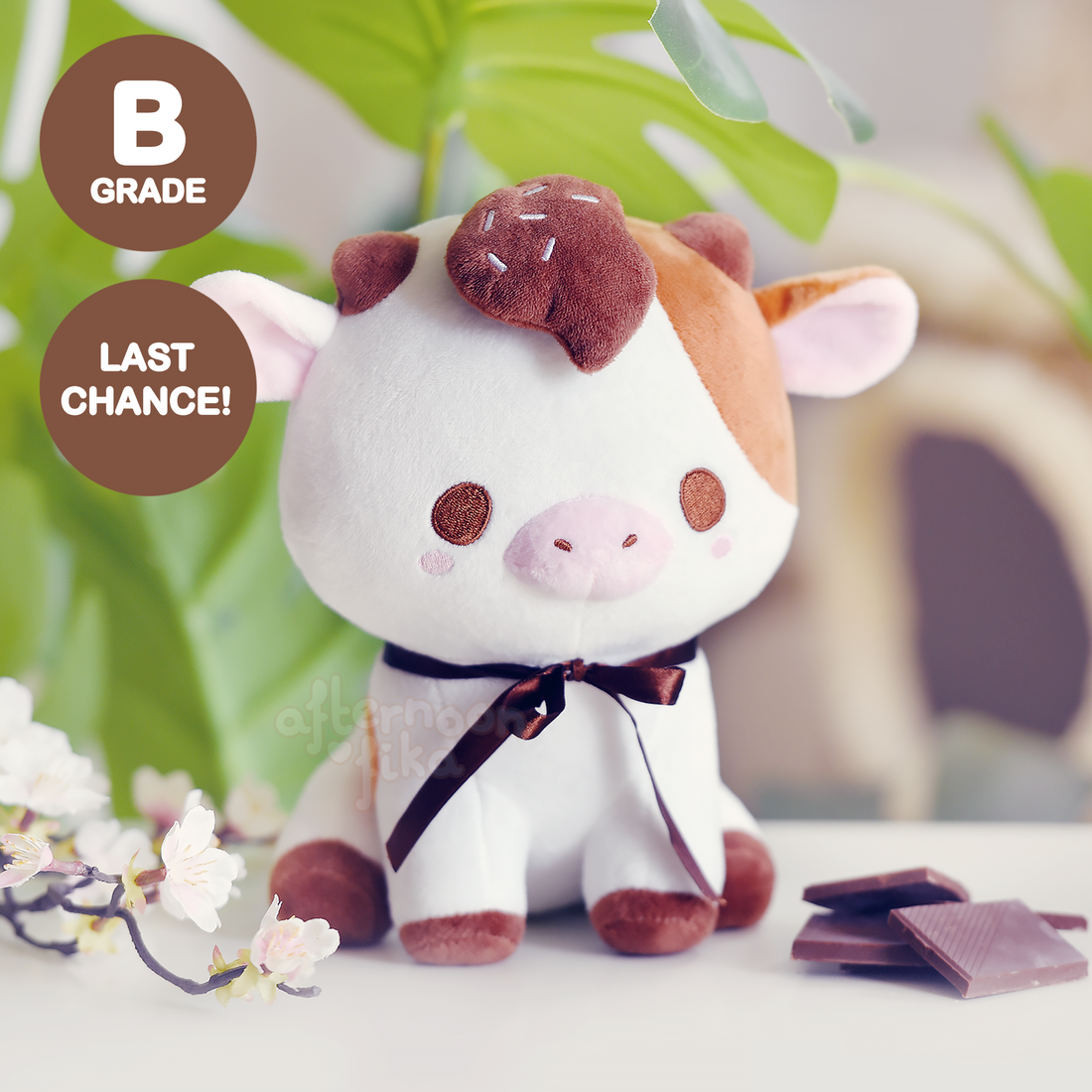 [B-GRADE] [LAST CHANCE!] Puddin&