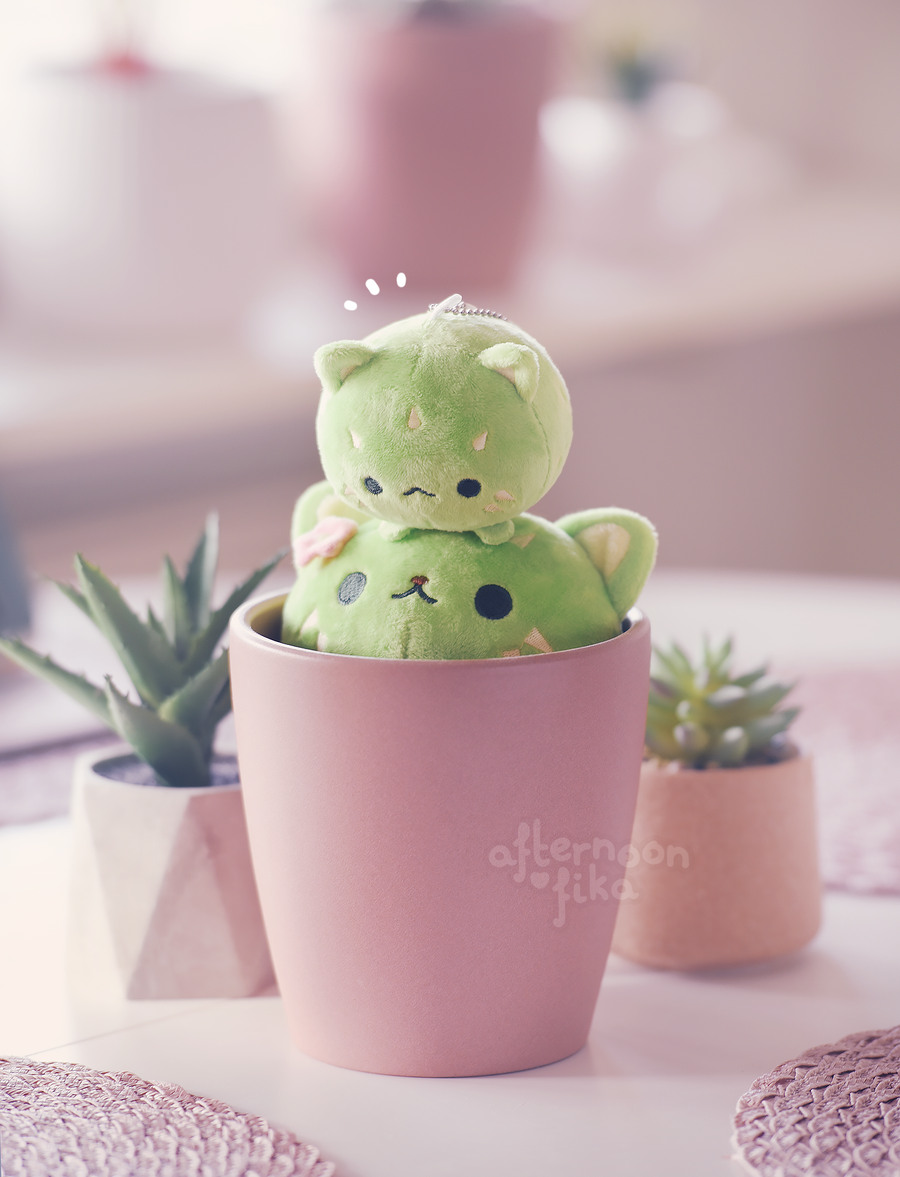 Cactus Cat Family Bundle